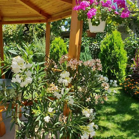 Kyurkchievi Guest House Сапарева-Баня Экстерьер фото