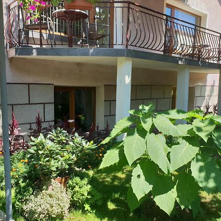 Kyurkchievi Guest House Сапарева-Баня Экстерьер фото