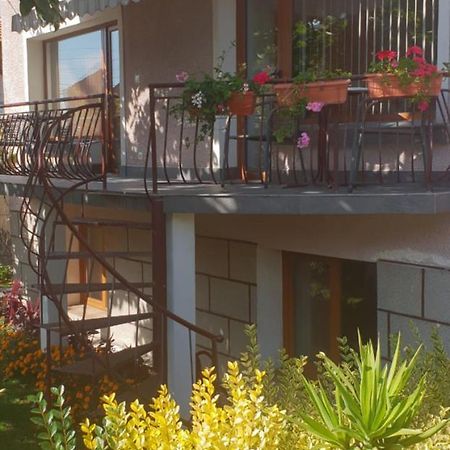 Kyurkchievi Guest House Сапарева-Баня Экстерьер фото