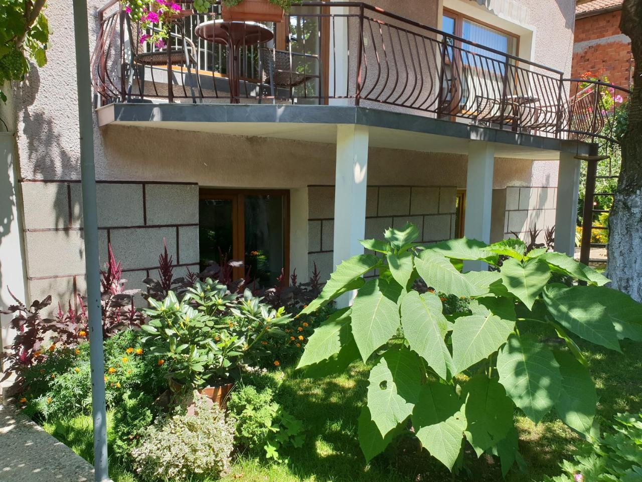 Kyurkchievi Guest House Сапарева-Баня Экстерьер фото